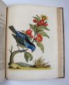 Edwards, George, A Natural History of uncommon Birds and some other rare and undescribed Animals, Quadrupeds, Reptiles, Fishes, Insects… FORTSETZUNG: Gleanings of Natural History containing figures of Quadrupeds, Birds, Insects, Plants…