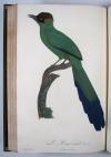 Levaillant, Francois, Histoire naturelle des Oiseaux du Paradis et des Rolliers, suivie de celle des Toucans et des Barbus.