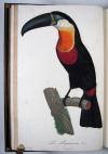 Levaillant, Francois, Histoire naturelle des Oiseaux du Paradis et des Rolliers, suivie de celle des Toucans et des Barbus.