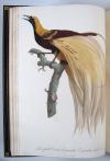 Levaillant, Francois, Histoire naturelle des Oiseaux du Paradis et des Rolliers, suivie de celle des Toucans et des Barbus.