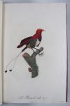 Levaillant, Francois, Histoire naturelle des Oiseaux du Paradis et des Rolliers, suivie de celle des Toucans et des Barbus.