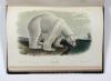 Audubon, John James und John Bachmann, The Quadrupeds of North America.