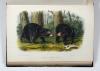Audubon, John James und John Bachmann, The Quadrupeds of North America.