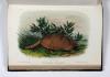 Audubon, John James und John Bachmann, The Quadrupeds of North America.