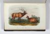 Audubon, John James und John Bachmann, The Quadrupeds of North America.