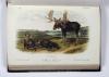 Audubon, John James und John Bachmann, The Quadrupeds of North America.
