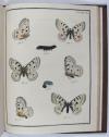 Engramelle, Jacques Louis Florentin, Papillons d’Europe, peints d’après nature (par Jean Jacques Ernst).