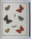 Engramelle, Jacques Louis Florentin, Papillons d’Europe, peints d’après nature (par Jean Jacques Ernst).