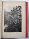 Hanssen, A.B., Wanderungen durch die Kaffee-Länder der Erde. Eine Weltreise in den Jahren 1896-98.