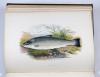 Houghton, William, British Fresh-Water Fishes.