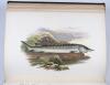 Houghton, William, British Fresh-Water Fishes.