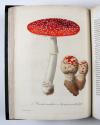 Roques, Joseph, Phytographie médicale, ornée des figures coloriées de grandeur naturelle, ou l’on expose l’histoire des poisons tirés du règne végétal, et les moyens de remédier a leurs effets délétères, avec des observations sur les propriétés et les usages des plantes héroiques.