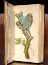 Shaw, G., und F.P. Nodder, The Naturalist’s Miscellany: or coloured figures on Natural Objects drawn and described immediatly from nature.