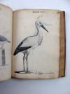 Davrieux, Louis, Abregée de L’Histoire Naturelle des Oiseaux. Avec les figures.   Französische Handschrift auf Papier.