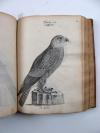 Davrieux, Louis, Abregée de L’Histoire Naturelle des Oiseaux. Avec les figures.   Französische Handschrift auf Papier.