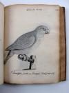 Davrieux, Louis, Abregée de L’Histoire Naturelle des Oiseaux. Avec les figures.   Französische Handschrift auf Papier.