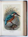 Lilford, T.L.P., Coloured Figures of the Birds of the British Islands.