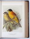 Lilford, T.L.P., Coloured Figures of the Birds of the British Islands.