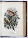 Lilford, T.L.P., Coloured Figures of the Birds of the British Islands.