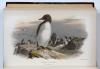 Lilford, T.L.P., Coloured Figures of the Birds of the British Islands.