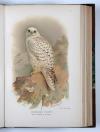 Lilford, T.L.P., Coloured Figures of the Birds of the British Islands.