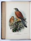 Lilford, T.L.P., Coloured Figures of the Birds of the British Islands.