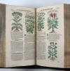 Tabernaemontanus, Jacobus Theodorus, Neu vollkommen Kräuter-Buch, mit schönen, künstlichen Figuren unnd Conterfeyten, aller Gewächs… auch deren… Underscheid und Würckung, sampt ihren Nahmen in mancherley Sprachen… Erstlich durch Casparum Bauhinum… zum Andern durch Hieronymum Bauhinum… vermehret. Und nun zum vierdten mahl ausfs fleisigst  übersehen…. und zu… Vollkommenheit gebracht.