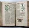 Tabernaemontanus, Jacobus Theodorus, Neu vollkommen Kräuter-Buch, mit schönen, künstlichen Figuren unnd Conterfeyten, aller Gewächs… auch deren… Underscheid und Würckung, sampt ihren Nahmen in mancherley Sprachen… Erstlich durch Casparum Bauhinum… zum Andern durch Hieronymum Bauhinum… vermehret. Und nun zum vierdten mahl ausfs fleisigst  übersehen…. und zu… Vollkommenheit gebracht.