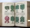 Tabernaemontanus, Jacobus Theodorus, Neu vollkommen Kräuter-Buch, mit schönen, künstlichen Figuren unnd Conterfeyten, aller Gewächs… auch deren… Underscheid und Würckung, sampt ihren Nahmen in mancherley Sprachen… Erstlich durch Casparum Bauhinum… zum Andern durch Hieronymum Bauhinum… vermehret. Und nun zum vierdten mahl ausfs fleisigst  übersehen…. und zu… Vollkommenheit gebracht.