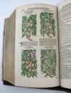 Tabernaemontanus, Jacobus Theodorus, Neu vollkommen Kräuter-Buch, mit schönen, künstlichen Figuren unnd Conterfeyten, aller Gewächs… auch deren… Underscheid und Würckung, sampt ihren Nahmen in mancherley Sprachen… Erstlich durch Casparum Bauhinum… zum Andern durch Hieronymum Bauhinum… vermehret. Und nun zum vierdten mahl ausfs fleisigst  übersehen…. und zu… Vollkommenheit gebracht.