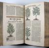 Tabernaemontanus, Jacobus Theodorus, Neu vollkommen Kräuter-Buch, mit schönen, künstlichen Figuren unnd Conterfeyten, aller Gewächs… auch deren… Underscheid und Würckung, sampt ihren Nahmen in mancherley Sprachen… Erstlich durch Casparum Bauhinum… zum Andern durch Hieronymum Bauhinum… vermehret. Und nun zum vierdten mahl ausfs fleisigst  übersehen…. und zu… Vollkommenheit gebracht.