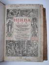 Brunfels, Otto, Herbarum vivae eicones ad naturae imitationem, summa cum diligentia et artificio effigiatae, una cum effectibus earundem.– Novi herbarii tomus II.– Tomus herbarii Othonis Brunfelsii III.