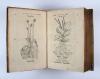 Brunfels, Otto, Herbarum vivae eicones ad naturae imitationem, summa cum diligentia et artificio effigiatae, una cum effectibus earundem.– Novi herbarii tomus II.– Tomus herbarii Othonis Brunfelsii III.