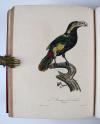 Vieillot, Louis Jean Pierre und Paul Louis Oudart, La Galerie des oiseaux, dédiée à son altesse royale Madame, Duchesse de Berri.