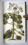(Zorn, Johannes), Alle Werke komplett, uniform gebunden und in neuwertigem Zustand.  I. Abbildungen von Arzneygewächsen. Icones plantarum medicinalium. 6 Bände. II. Dreyhundert auserlesene amerikanische Gewächse nach Linneischer Ordnung. 6 Teile in 3 Bänden. III. Auswahl schöner und seltener Gewächse als Fortsetzung der amerikanischen Gewächse. 5 Teile in 3 Bänden.