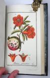 (Zorn, Johannes), Alle Werke komplett, uniform gebunden und in neuwertigem Zustand.  I. Abbildungen von Arzneygewächsen. Icones plantarum medicinalium. 6 Bände. II. Dreyhundert auserlesene amerikanische Gewächse nach Linneischer Ordnung. 6 Teile in 3 Bänden. III. Auswahl schöner und seltener Gewächse als Fortsetzung der amerikanischen Gewächse. 5 Teile in 3 Bänden.