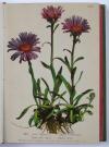 (Hartinger, A.), Atlas de la Flore Alpine. Texte par Henry Correvon. Publié par le Club alpine allemand et autrichien.