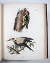 De Kay, J.E., Natural history of New York. Part II: Birds.