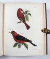 De Kay, J.E., Natural history of New York. Part II: Birds.