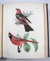 De Kay, J.E., Natural history of New York. Part II: Birds.
