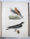 De Kay, J.E., Natural history of New York. Part II: Birds.