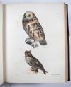 De Kay, J.E., Natural history of New York. Part II: Birds.