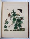 Harris, Moses, L’Aurelien, ou Histoire Naturelle des Chenilles, Chrysalides, Phalenes et Papillons Anglois avec les plantes dont ils se nourissent.