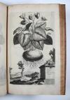 Munting, Abraham, Phytographia curiosa, exhibens arborum, fructicum, herbarum &amp; florum icones.