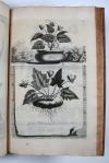Munting, Abraham, Phytographia curiosa, exhibens arborum, fructicum, herbarum &amp; florum icones.