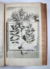 Munting, Abraham, Phytographia curiosa, exhibens arborum, fructicum, herbarum &amp; florum icones.