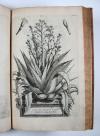 Munting, Abraham, Phytographia curiosa, exhibens arborum, fructicum, herbarum &amp; florum icones.