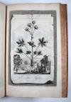 Munting, Abraham, Phytographia curiosa, exhibens arborum, fructicum, herbarum &amp; florum icones.