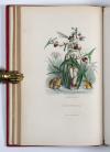 Grandville, J.J. (d.i. J.I.I. Gérard), Les Fleurs animées. Texte par Alph. Karr, Taxile Delord et Le Cte. Foelix. Nouvelle édition.