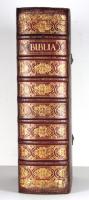 Anonym Biblia, Das ist: Die gantze Heilige Schrift Alten und Neuen Testaments/ nach der … Übersetzung… Martin Luthers…